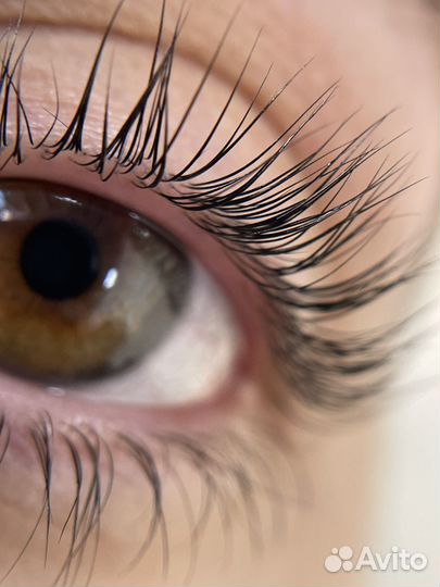 Брови и ламинирование ресниц