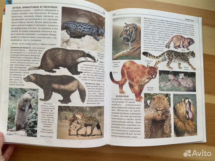 Большая детская энциклопедия