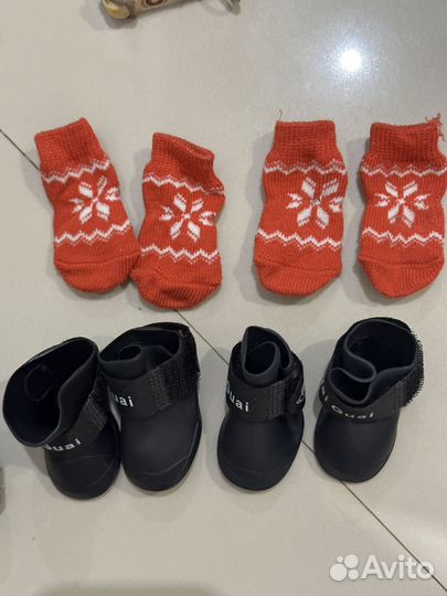 Все для маленьких собак/йорк/той-терьер/чихуа