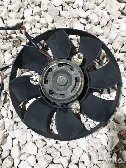 Вентилятор Volkswagen Passat B5+