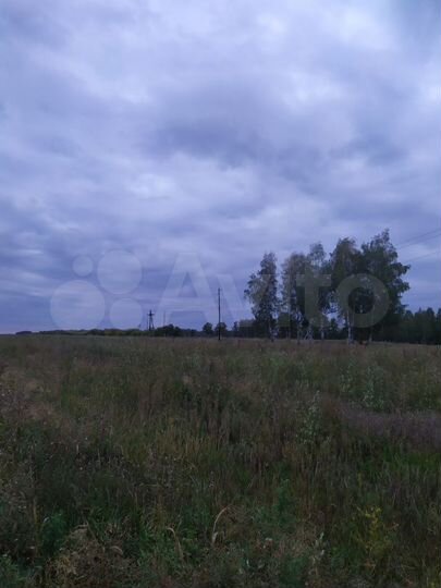 Участок 1000 га (СНТ, ДНП)