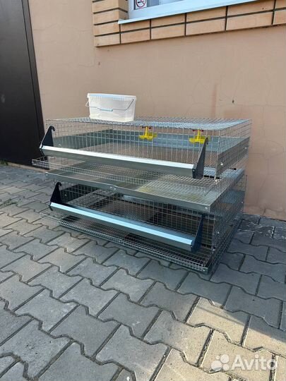 Клетки для перепелов на 100 голов