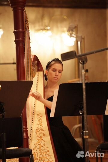 Музыканты на мероприятие