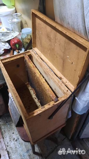 Пасека, ульи, пчелы