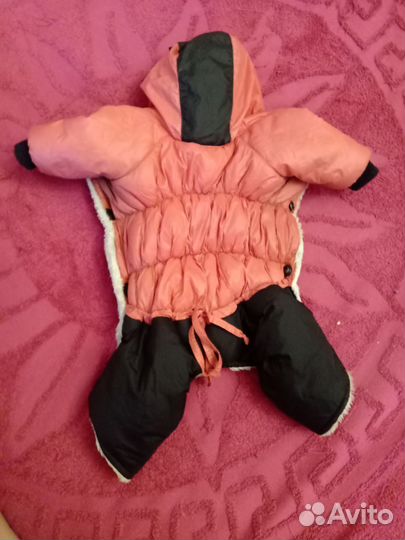 Комбинезон для маленькой собаки