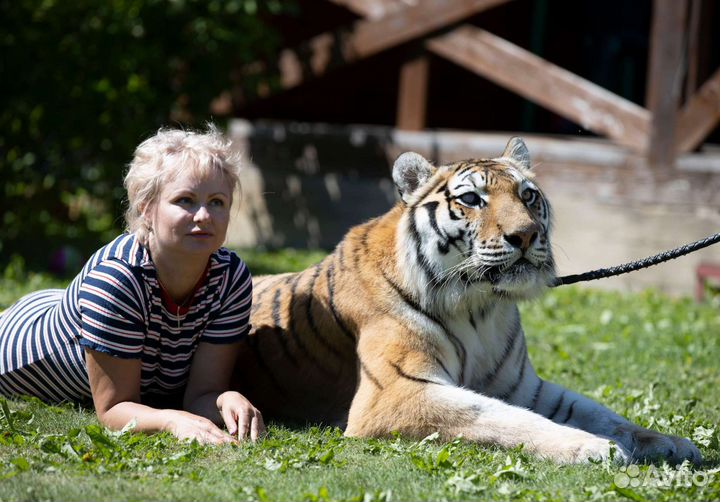 Автоняня, няня, педагог (учитель математики)