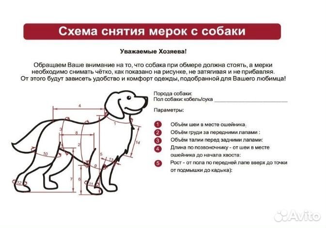 Комбинезон тёплый на флисе для далматина