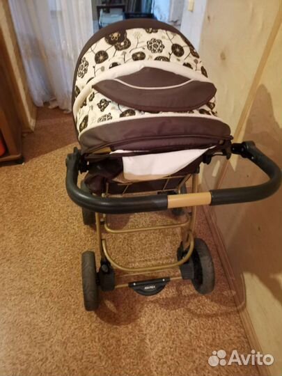 Коляска adamex young