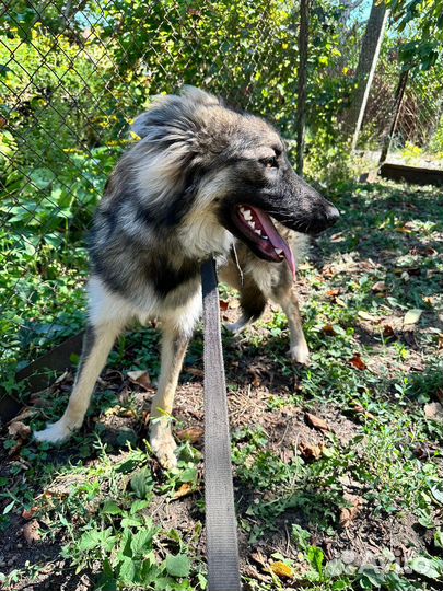 Подарить семью