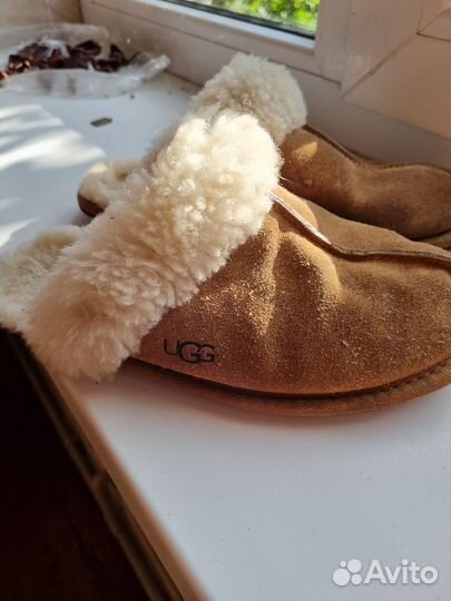 Тапки женские ugg