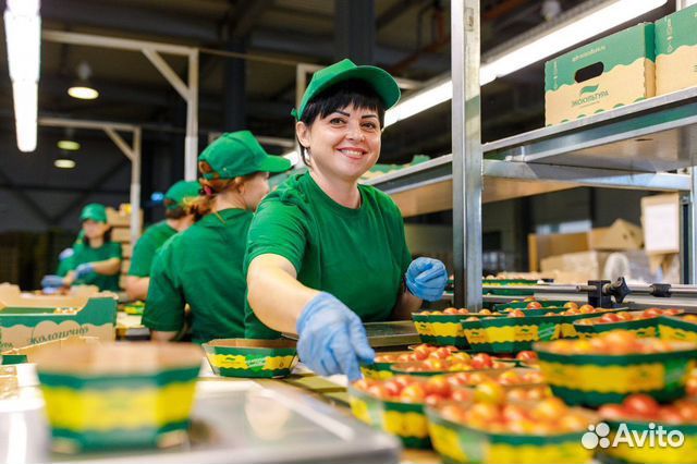 Вахта в Москве 15/15 - Упаковщик на склад