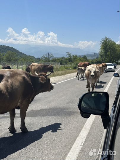 Тур на лучшие горы Кавказа на 4 дня