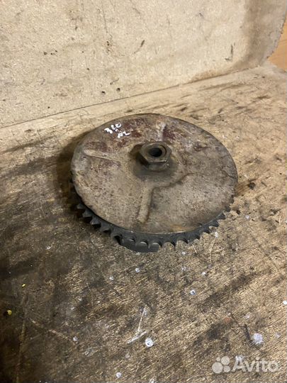 Ведомая звезда Ява