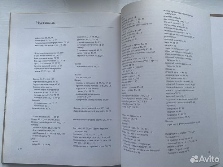 Л. Гордон. Рисунок.Техника рисования человека