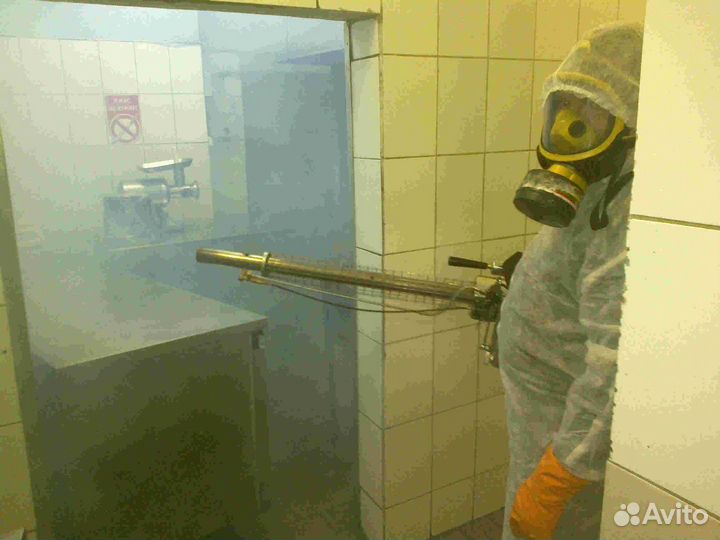 Уничтожение клопов, тараканов, клещей, ос, ртуть