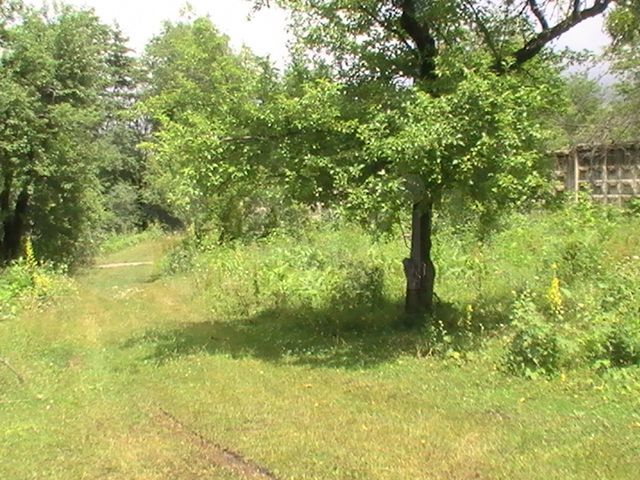 Участок 50 сот. (ИЖС)