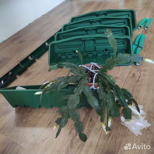 Модуль для вертикального озеленения