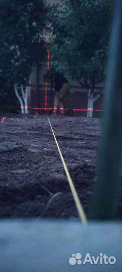 Рулонный газон стандарт с укладкой