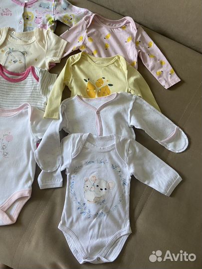 Боди пакетом для девочки 56р