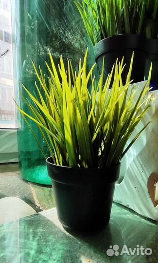 Искусственная трава в горшке