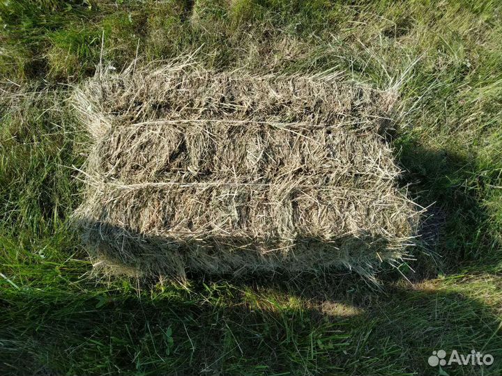 Сено в тюках