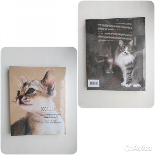 Кошки энциклопедия