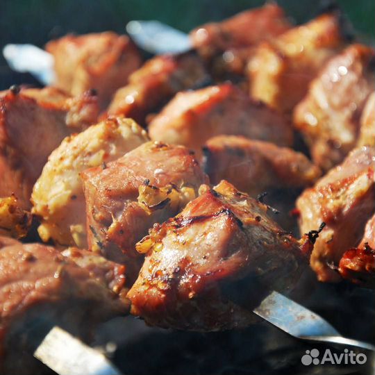 Набор шампуров из 10 штук