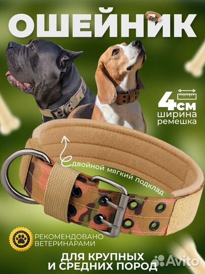 Ошейник для собак