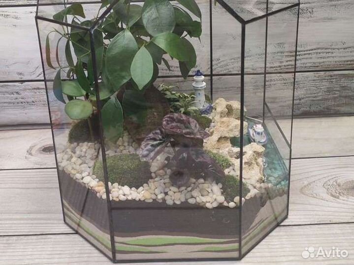 Флорариум, подарок, декор, цветы