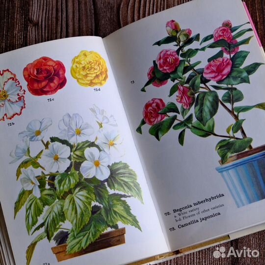 The Pocket Encyclopedia of Indoor Plants in Colour