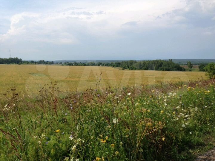 Участок 20 сот. (ИЖС)