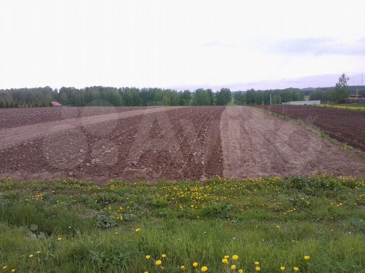 Участок 39 сот. (ИЖС)