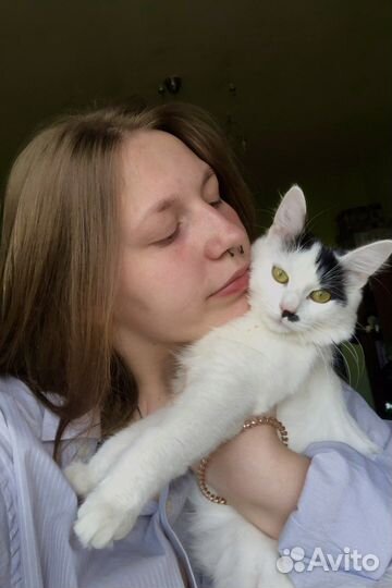 Передержка/догситтер/зооняня