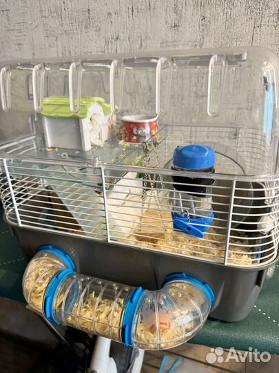 Продам хомяка (можно с клеткой)