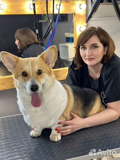 Грумер стрижка собак