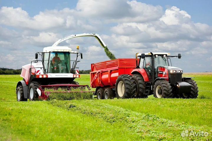 Дизельное топливо дт солярка Шаховская