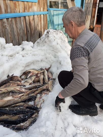 Отдых на Алтае