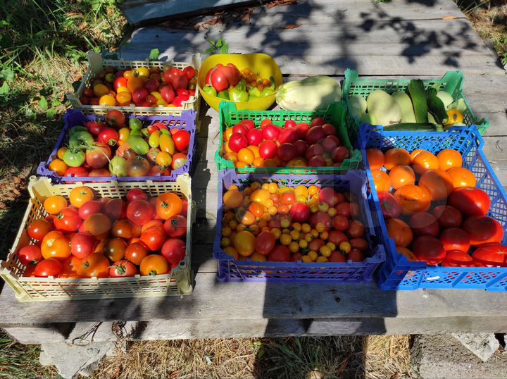 Участок 15 сот. (ИЖС)