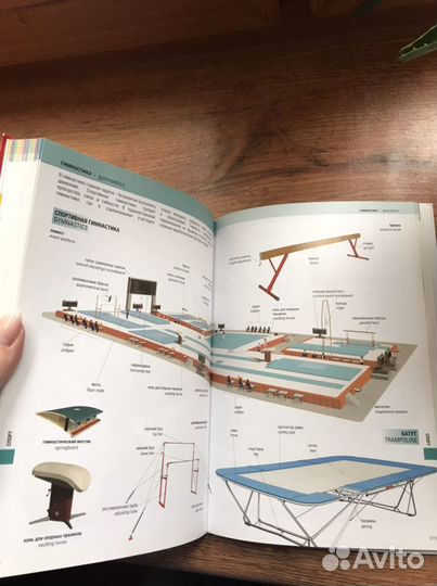 Иллюстрированный англо-русский словарь