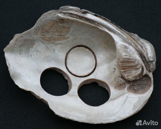 Различные пуговицы