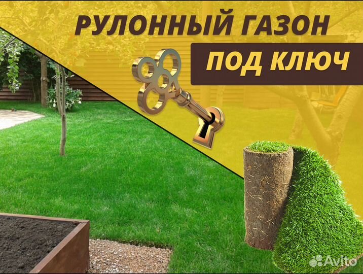 Элитный рулонный газон