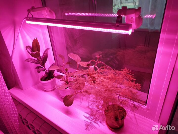 Фитолампа для растений крепление на присосках