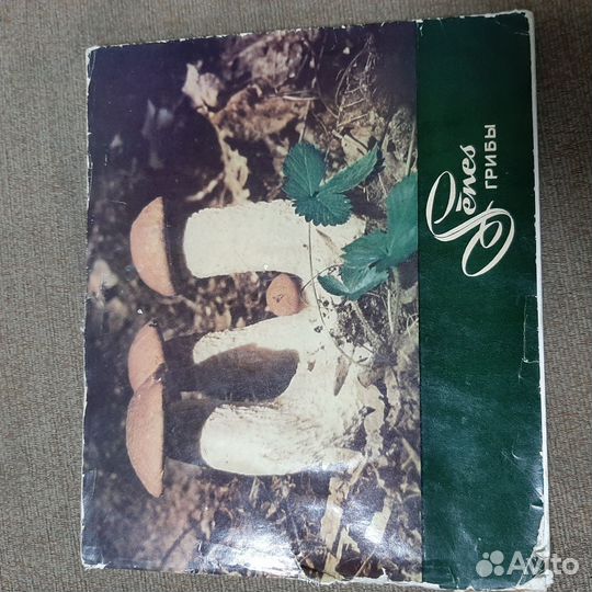 Справочник грибника