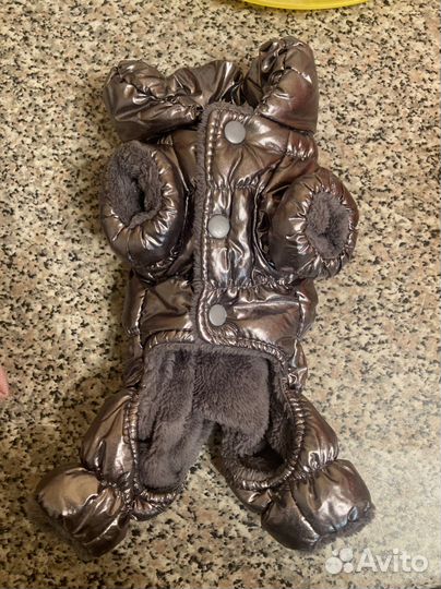 Одежда для собак