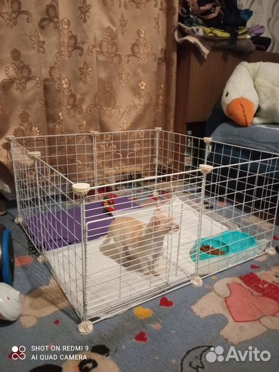 Клетка вольер для животных