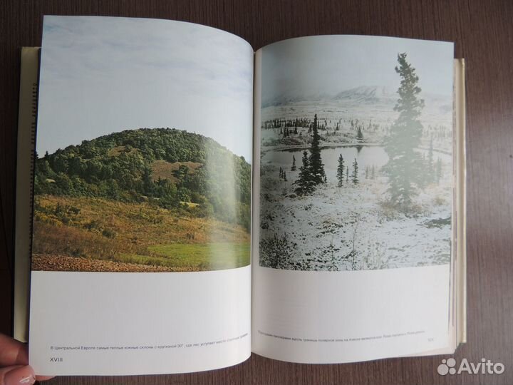 Иллюстрированная энциклопедия лесов