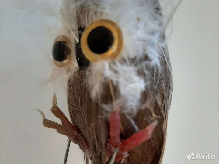 Птичка-совенок декор