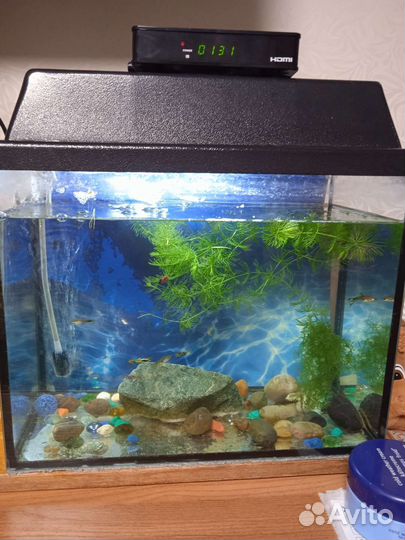 Аквариум