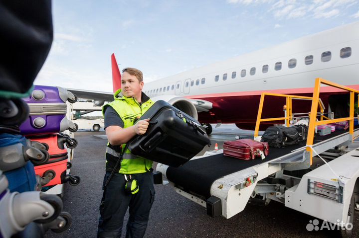 Сборщик чемоданов от 15 смен