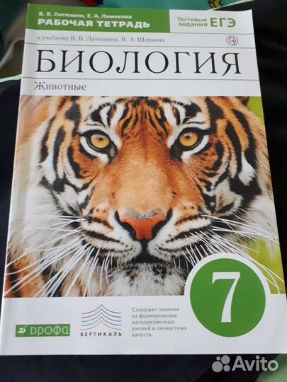 Рабочая тетрадь